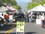 farmers market