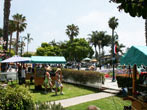 carpinteria rods n roses